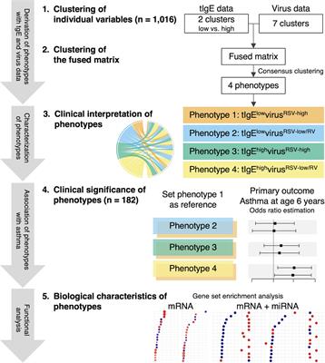 Immunoglobulin E-virus phenotypes of infant bronchiolitis and risk of childhood asthma